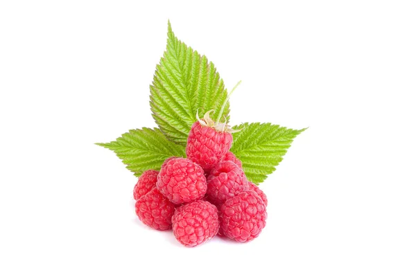 Raspberry with leaf — Stock Photo, Image