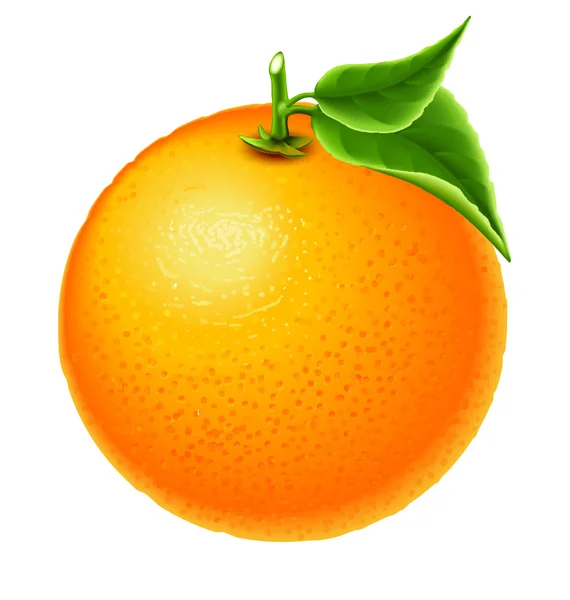 Hoja de naranja pura — Vector de stock