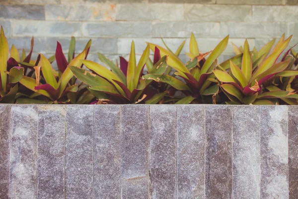 Каменная стена, ступени и плантатор в саду Стоковое Фото