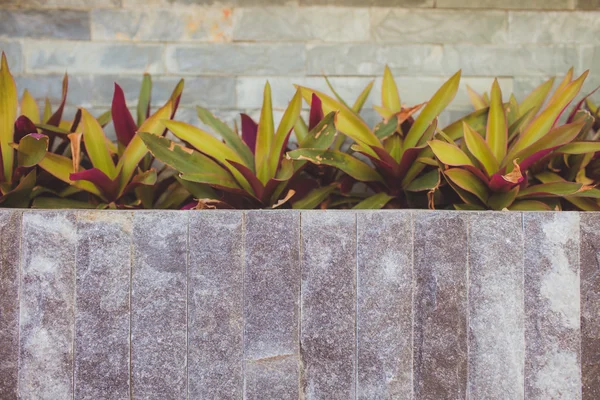 Parede de pedra, degraus e plantador no jardim Fotografia De Stock