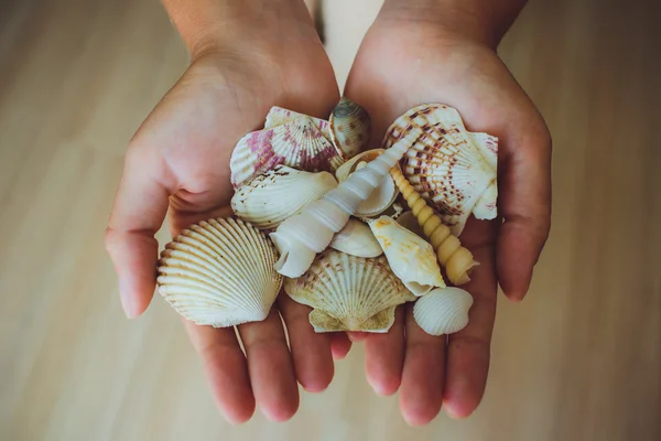 insan eli, deniz, deniz yıldızı tutan kadın