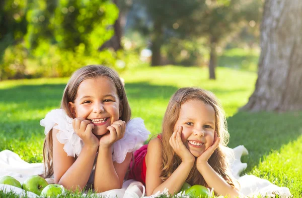 Happy smiling children playing on family picnic — Stock Photo, Image