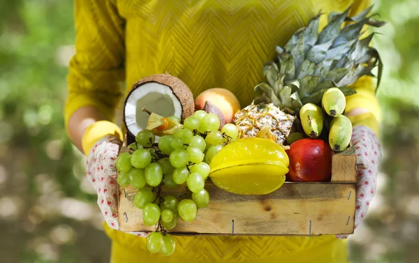 Frau trägt Handschuhe mit frischem Obst in der Schachtel in der Hand — Stockfoto