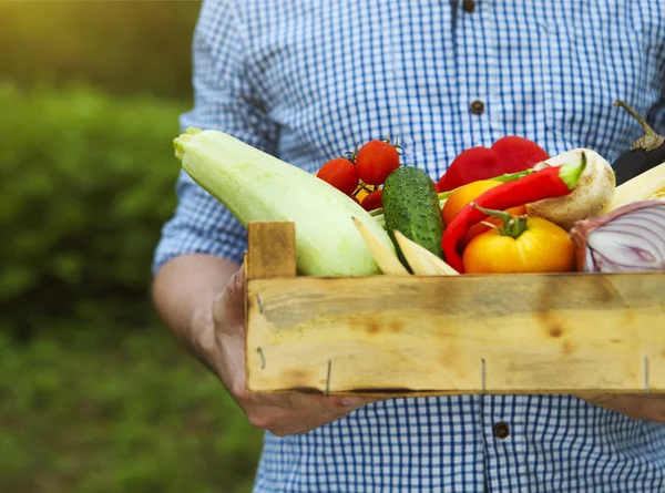 Фермер держит деревянную коробку со свежими овощами — стоковое фото