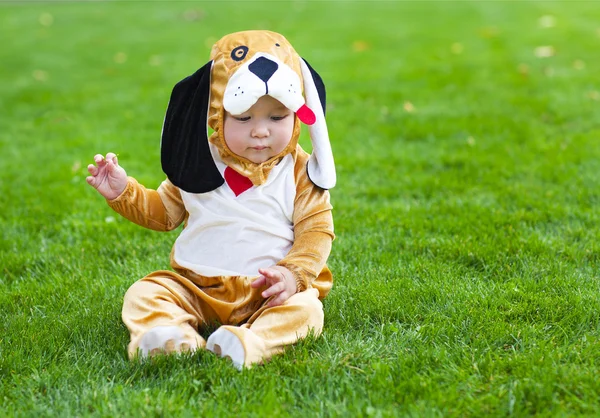 Weinig grappige baby dragen pup pak. — Stockfoto