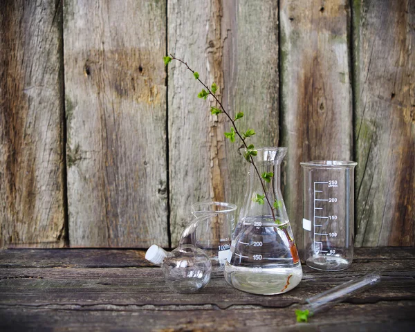 Plantas verdes en equipos de laboratorio — Foto de Stock