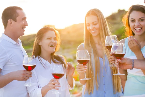 Gente sosteniendo copas de vino tinto haciendo un brindis — Foto de Stock