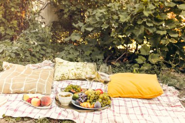 Bahçedeki romantik piknik sırasında yastıklı çeşitli olgun meyvelerle birlikte masaların yanına yerleştirilmiş bir çift şarap bardağı.