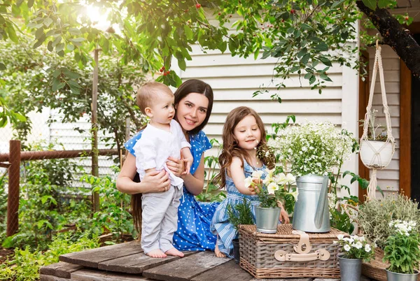 Ung Glad Mamma Sitter Fåtölj Med Bedårande Små Syskon Terrassen — Stockfoto