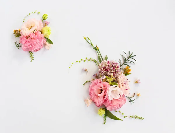 Ovanifrån Ekologiska Färska Blommor Arrangerade Vackra Kompositioner Vit Bakgrund — Stockfoto