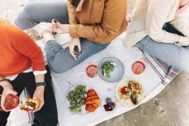 Neşeli genç kız arkadaşlar yaz tatilinde parkta piknik yaparken şarap içip bruschetta yiyorlar. Üst görünüm