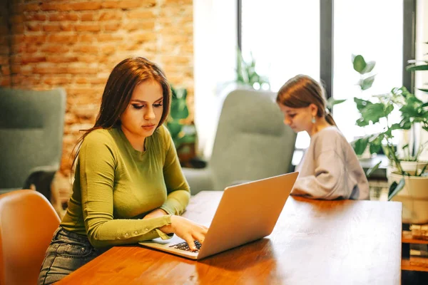 Fröhlicher Freiberufler Mit Laptop Café — Stockfoto