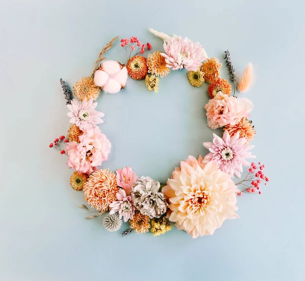 Ovanifrån Ekologiska Färska Blommor Arrangerade Vackra Kompositioner Ljusblå Bakgrund — Stockfoto