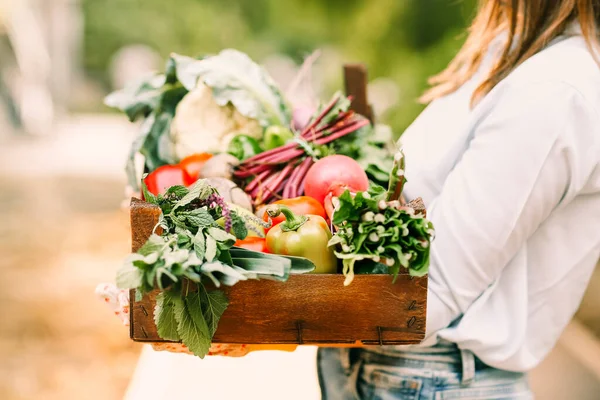 Felismerhetetlen Kesztyűben Különböző Zöldségeket Bemutató Fadobozban Miközben Farmon Dolgozik — Stock Fotó