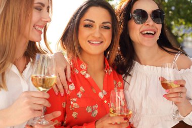 Bir grup zarif mutlu kadın yazın parti için toplanıyor ve birlikte vakit geçirip beyaz şarap içiyorlar.