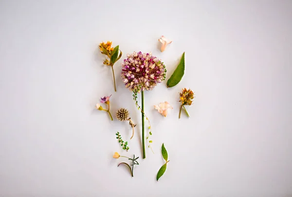 Bovenaanzicht Van Natuurlijke Verse Bloemen Gerangschikt Violette Achtergrond — Stockfoto