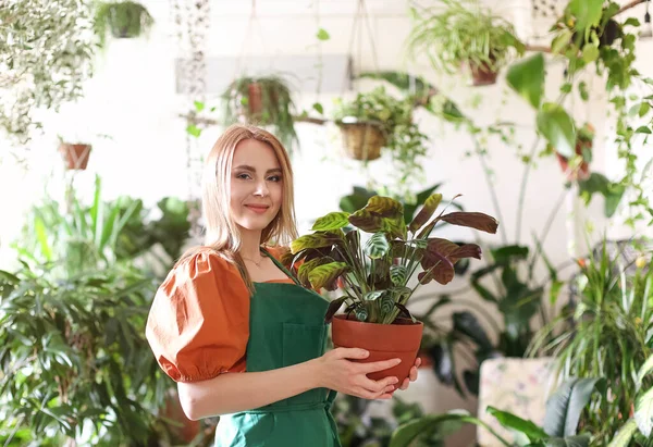 Femme Calme Dans Tablier Vert Prenant Soin Des Plantes Fleurs — Photo