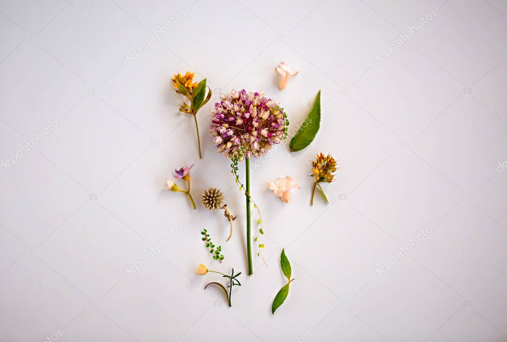 Top view of natural fresh flowers arranged on violet background