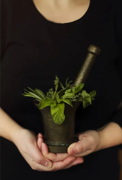 Mulher Irreconhecível Demonstrando Argamassa Com Pilão Folhas Frescas Flores Ervas — Fotografia de Stock