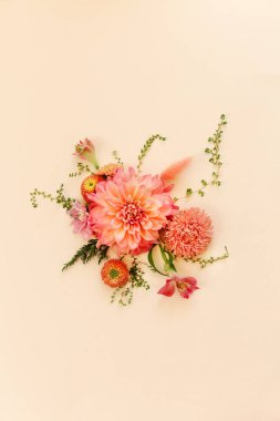 Bej arka planda güzel kompozisyonlarda sıralanmış organik taze çiçeklerin üst görüntüsü
