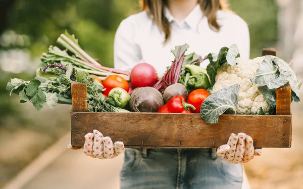 Felismerhetetlen Kesztyűben Különböző Zöldségeket Bemutató Fadobozban Miközben Farmon Dolgozik — Stock Fotó