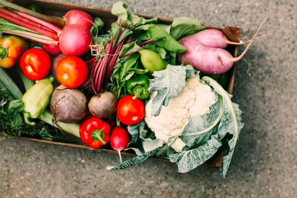 Ansicht Des Kartoncontainers Mit Ernte Verschiedener Frischer Gemüsesorten Und Kräuter — Stockfoto