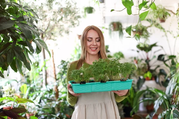 Femme Gaie Dans Tablier Portant Plateau Avec Des Pots Tomates — Photo