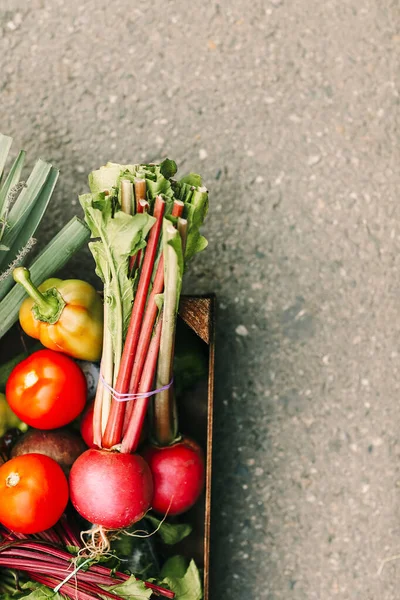 Kartondoboz Tetejére Néző Különböző Friss Zöldségek Fűszernövények Betakarításával Aszfaltozott Területen — Stock Fotó