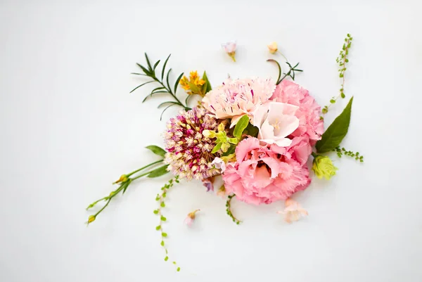 Draufsicht Auf Frische Bio Blumen Schönen Kompositionen Auf Hellblauem Hintergrund — Stockfoto