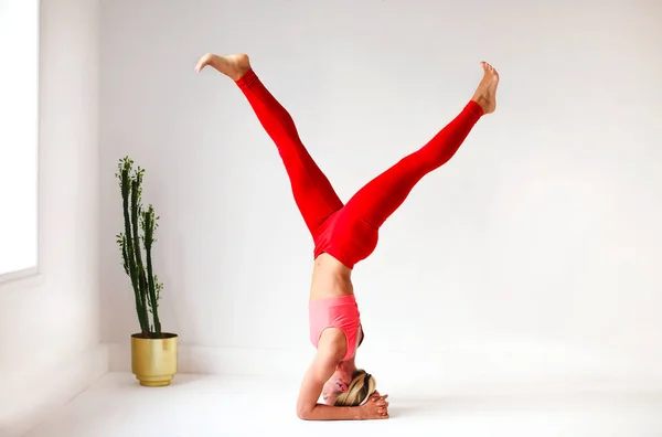 Cuerpo Completo Hembra Delgada Enfocada Realizando Handstand Cerca Pared Mientras —  Fotos de Stock