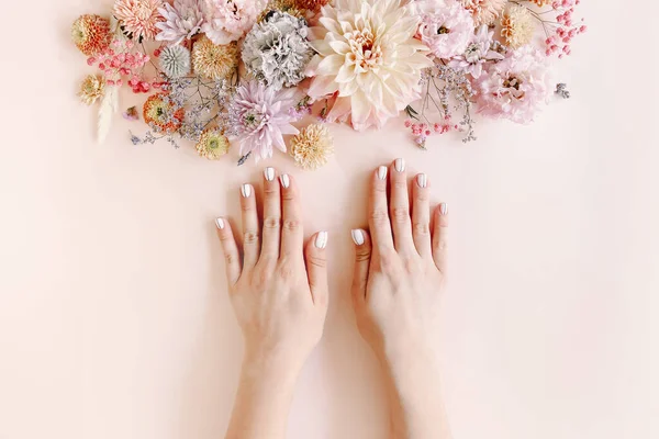 Top View Crop Unrecognizable Female Blooming Flowers Demonstrating Stylish Neat — Stock Photo, Image