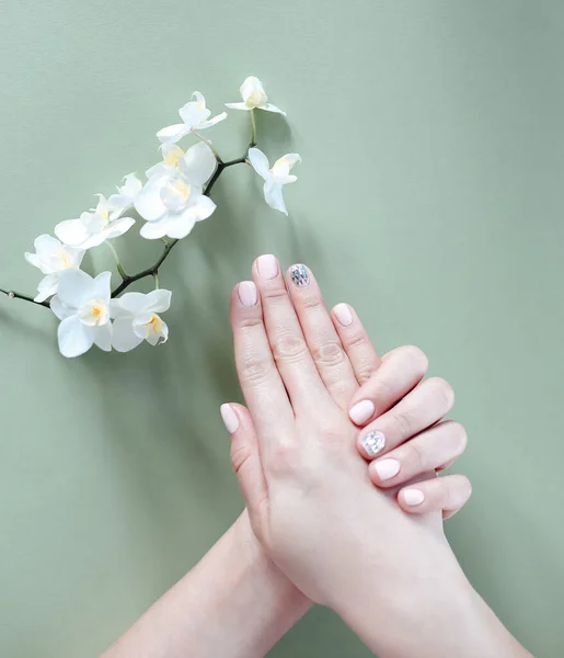 Pohled Shora Ženské Ruce Kvetoucím Květem Demonstrující Stylovou Úhlednou Manikúru — Stock fotografie