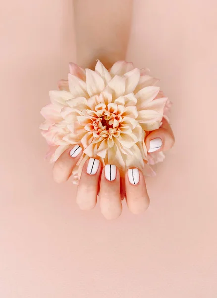 Top View Crop Unrecognizable Female Blooming Flower Demonstrating Stylish Neat — Stock Photo, Image