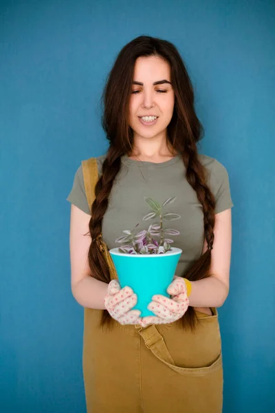 Mujer Joven Con Cabello Trenzado Sonriendo Demostrando Maceta Con Planta —  Fotos de Stock