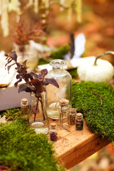 Mjukt Fokus Sammansättningen Små Glasflaskor Och Olika Växter Placerade Träbord — Stockfoto