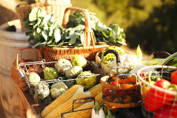 Körbe Mit Verschiedenen Reifen Gemüsesorten Sonnigen Sommertag Auf Dem Bauernmarkt — Stockfoto