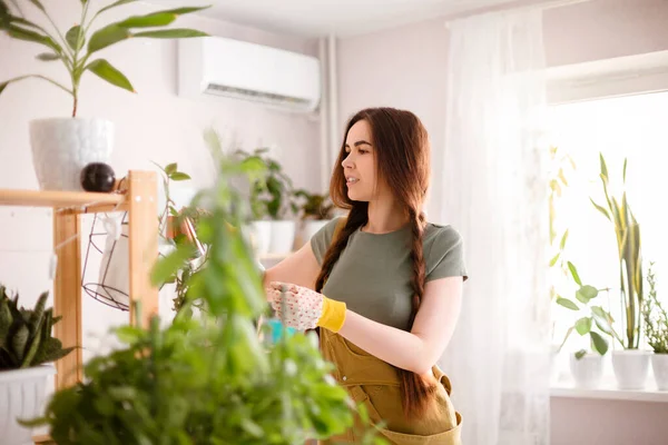 Jeune Femelle Avec Des Tresses Souriantes Prenant Soin Plantes Pot — Photo