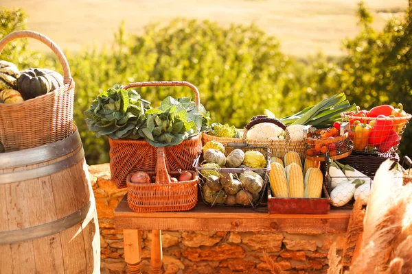 Cestas Con Varias Verduras Maduras Colocadas Establo Soleado Día Verano — Foto de Stock