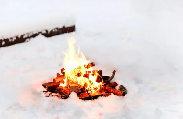 Bright Bonfire Burning Snowy Ground Logs Winter Evening Woods — Stock Photo, Image