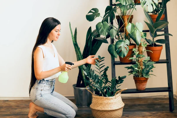 Jeune Femelle Avec Des Tresses Souriantes Prenant Soin Plantes Pot — Photo