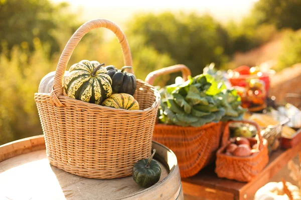 Körbe Mit Verschiedenen Reifen Gemüsesorten Sonnigen Sommertag Auf Dem Bauernmarkt — Stockfoto