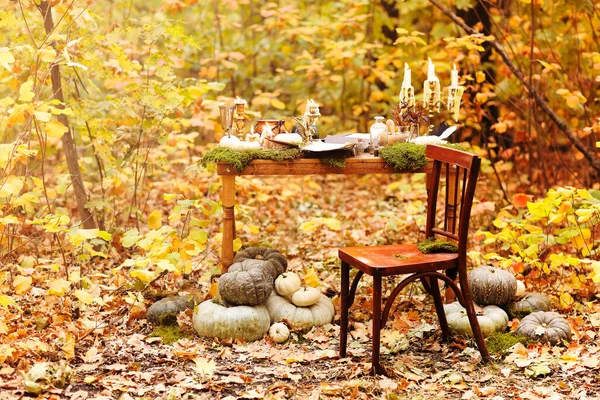 Vintage Chair Placed Table Various Decorations Pumpkins Amidst Trees Bushes — ストック写真