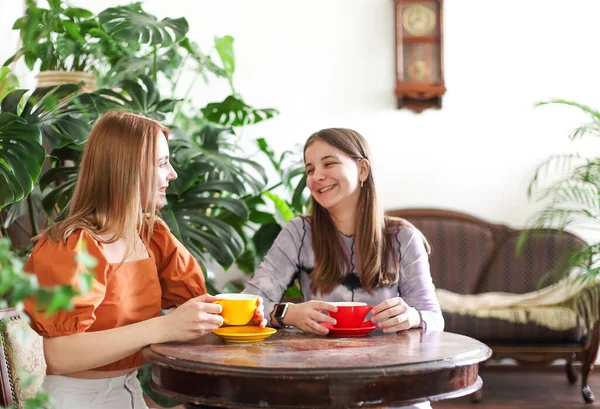 Cheerful Modern Female Friends Mugs Drinking Coffee Ant Chatting While — Stock Photo, Image