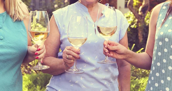 Namoradas Anônimas Batendo Copos Vinho Enquanto Estavam Jardim Durante Coleta — Fotografia de Stock