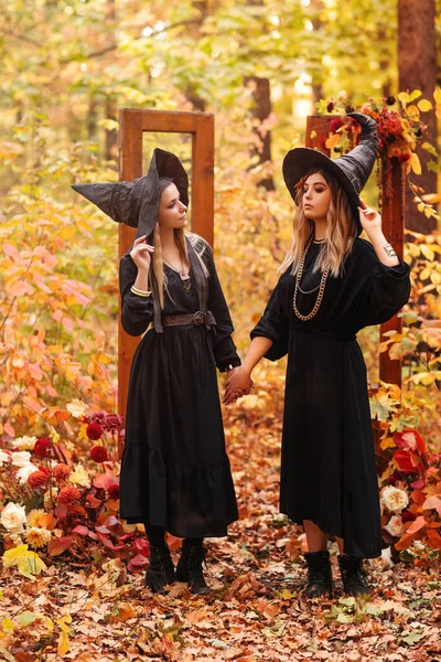 Mutlu Kadınlar Ele Tutuşup Cadılar Bayramı Nda Ormanda Iksir Hazırlıyorlar — Stok fotoğraf