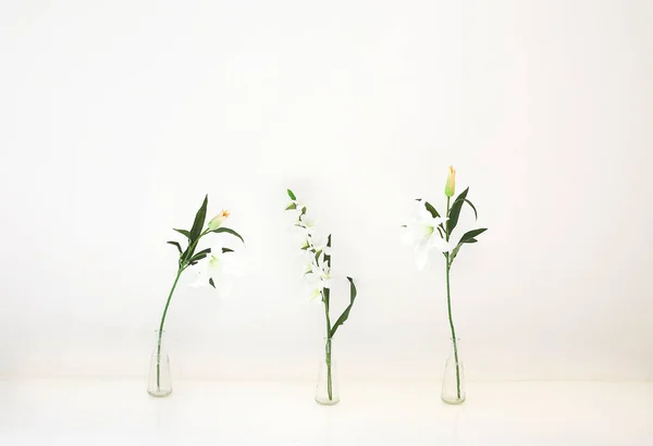 Beautiful Natural Lilies Placed Glass Vases White Wall Light Room — Stock Photo, Image