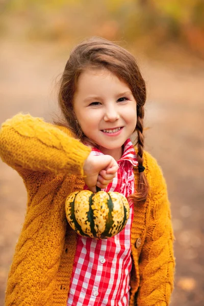 Pequeña Hembra Con Camisa Cuadros Casual Sosteniendo Mini Calabaza Naranja — Foto de Stock