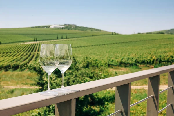 Druivenstok Twee Glazen Met Witte Wijn Wijngaard Achtergrond — Stockfoto