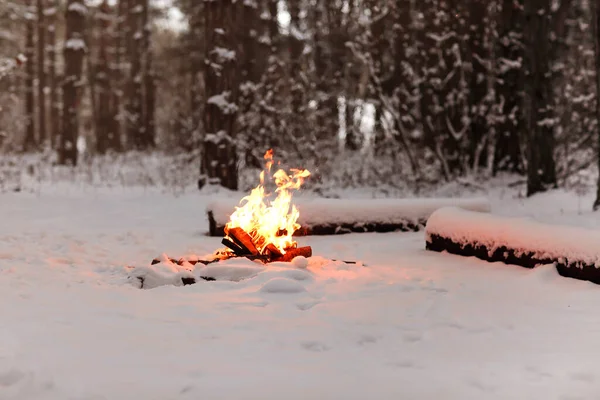 森の中で冬の夜に丸太の近くの雪の地面に燃える明るいたき火 — ストック写真