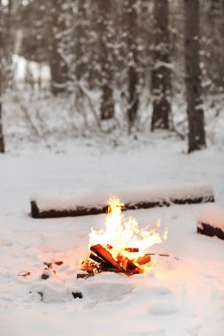 Kış akşamları ağaçların yanında, karlı zeminde yanan parlak şenlik ateşi.